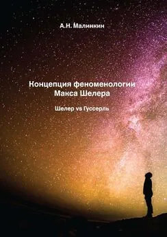 Александр Малинкин - Концепция феноменологии Макса Шелера. Шелер vs Гуссерль