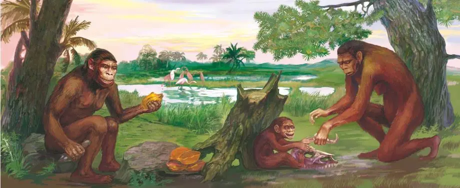 Австралопитеки Еще не люди но уже и не обезьяны 280 миллионов лет назад - фото 4