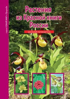 Сергей Афонькин - Растения из Красной книги России