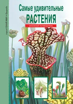 Сергей Афонькин - Самые удивительные растения