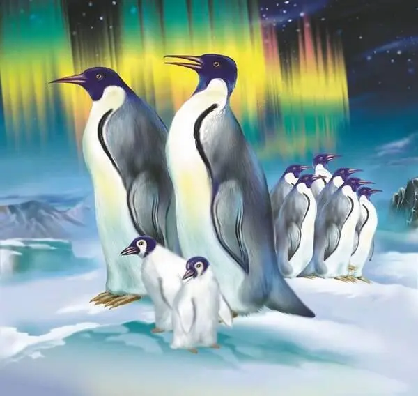 Пингвины Вторым по приспособленности видом пернатых обитателей морской воды - фото 6