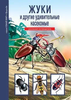 Сергей Афонькин - Жуки и другие удивительные насекомые