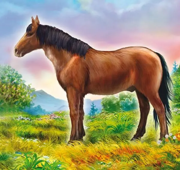 Исчезнувший вид тарпан Подвидом лошади Пржевальского является тарпан Именно - фото 9