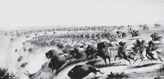Рис 2 Охотники гонят бизонов к обрыву Худ Alfred Jacob Miller По аналогии - фото 2