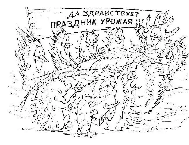 Микробы с грибами выделяют их прямо наружу буквально напитывают ими всё вокруг - фото 4