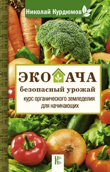 Николай Курдюмов - Экодача – безопасный урожай. Курс органического земледелия для начинающих