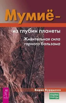 Борис Бурдыкин - Мумие – из глубин планеты. Живительная сила горного бальзама