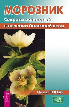 Мария Полевая - Морозник. Секреты целителей в лечении болезней века