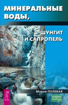 Мария Полевая - Минеральные воды, шунгит, сапропель. Как лечиться при помощи минералов?