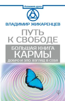 Владимир Жикаренцев - Большая книга Кармы. Путь к свободе. Добро и Зло. Взгляд в себя