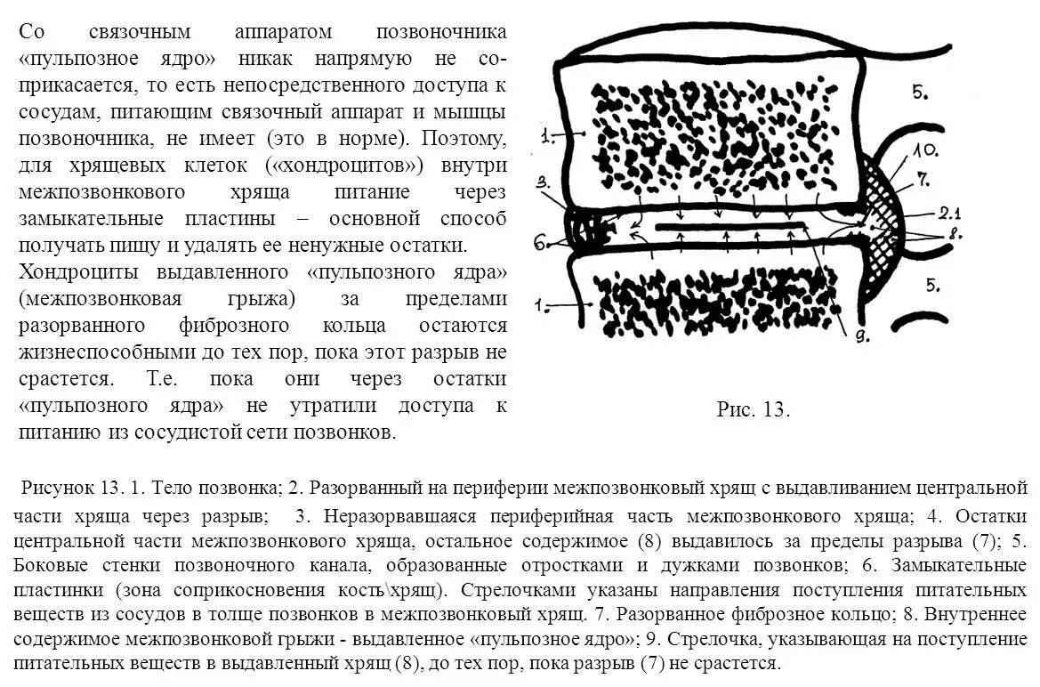 Информация для медицинских специалистов Обратите внимание на то что в норме - фото 13