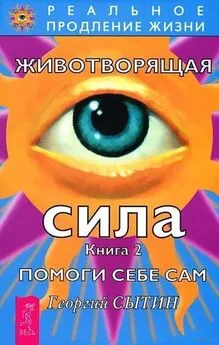 Георгий Сытин - Животворящая сила. Помоги себе сам. Книга 2