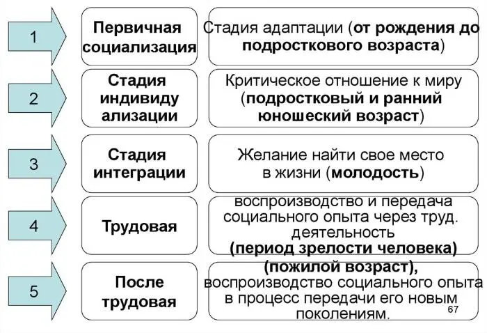 Рисунок 4 Стадии социализации личности Считается что именно социализация - фото 4