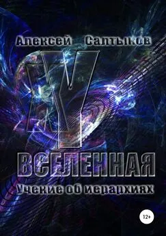 Алексей Салтыков - XY-Вселенная. Учение об иерархиях