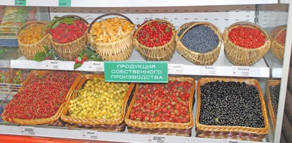 Центральный Комитет КПСС и Совет Министров СССР приняли постановление О мерах - фото 3