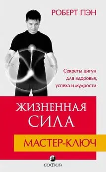 Роберт Пэн - Жизненная Сила. Мастер-ключ