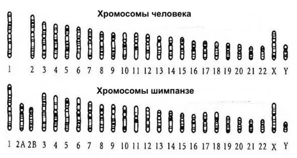 В этом отношении недопустимо и даже кощунственно выглядит сама возможность - фото 7