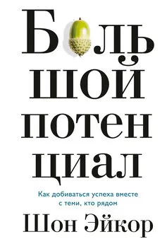 Шон Эйкор - Большой потенциал. Как добиваться успеха вместе с теми, кто рядом