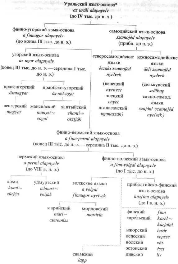 Сий Энико Курс венгерского языка Издание второе Танкёньвкиадо Будапешт - фото 1