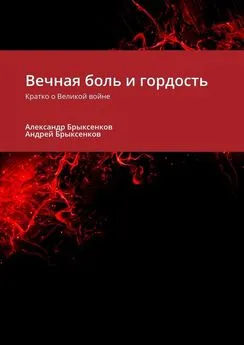 Александр Брыксенков - Вечная боль и гордость. Кратко о Великой войне