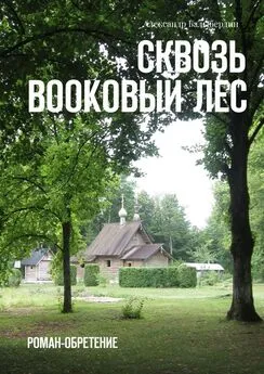 Александр Балыбердин - Сквозь Bookовый лес. Роман-обретение