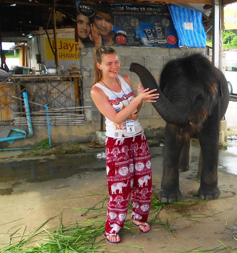 Слонёнок в Таиланде Поёт Лёша Слоник дует дует На девушку шутя Он девушку не - фото 4