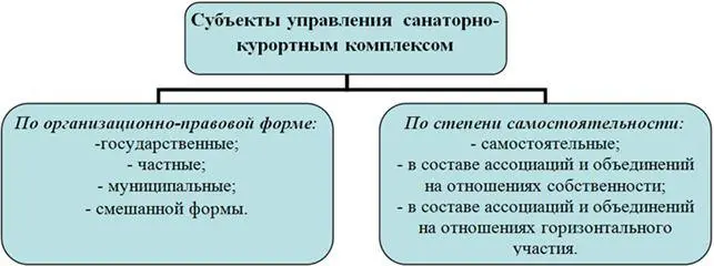 Рис 13 Субъекты управления санаторнокурортным комплексом Поскольку - фото 4