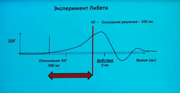 Эксперименты показывают что поставив человека перед стеллажом с товаром - фото 1