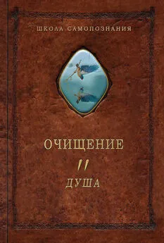 Александр Шевцов - Очищение. Том 2. Душа