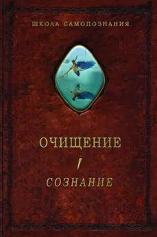 Александр Шевцов - Очищение. Том 1. Организм. Психика. Тело. Сознание