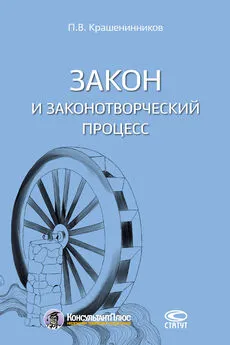 Павел Крашенинников - Закон и законотворческий процесс