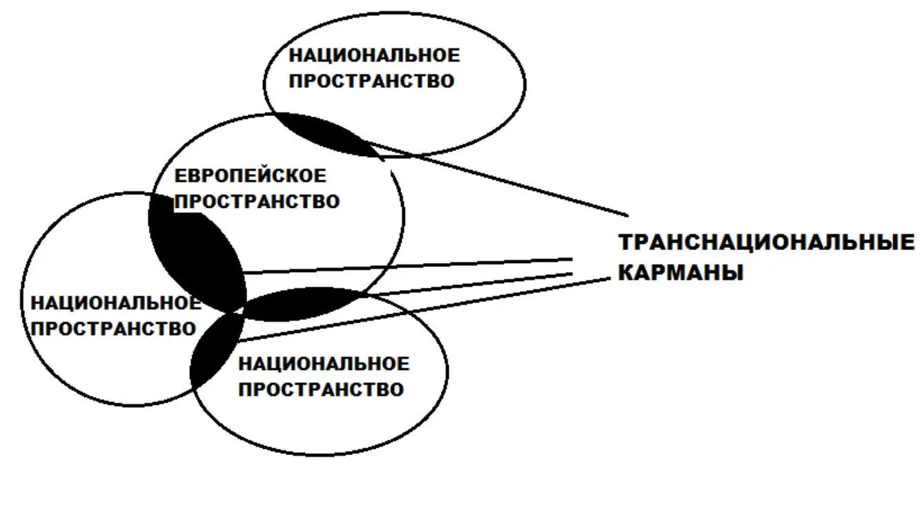 Рис Транснациональные сферы карманы Функциональный тип иной в нем - фото 1