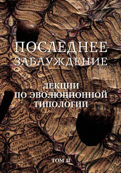 Сергей Скорик - Последнее заблуждение. Лекции по эволюционной типологии. Том II