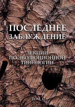 Сергей Скорик - Последнее заблуждение. Лекции по эволюционной типологии. Том I