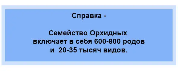 Красивые цветы не вызывают уже панический страх Фото в книге и на обложке - фото 1