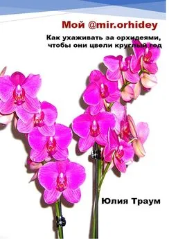 Юлия Траум - Мой @mir.orhidey. Как ухаживать за орхидеями, чтобы они цвели круглый год