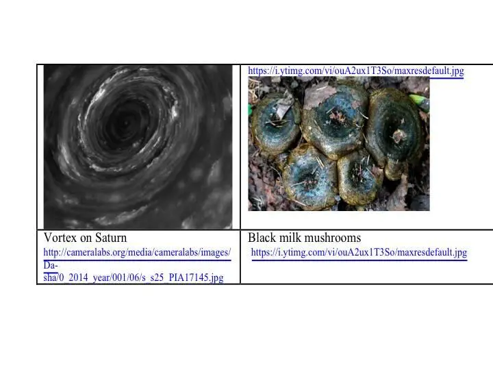 Vortex energy are immense And they are related to gravity One can refer here - фото 34