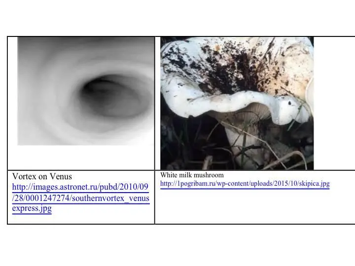 Vortex energy are immense And they are related to gravity One can refer here - фото 35