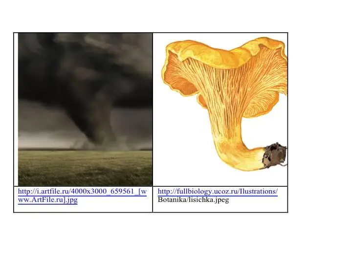 Vortex energy are immense And they are related to gravity One can refer here - фото 36