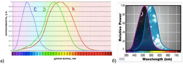 Рис 1 а Спектры чувствительности колбочек С синий З зеленый К - фото 4