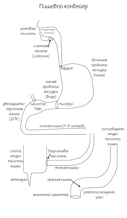 Ил 1 Пищевой конвейер На каждом этапе своя функция следующая функция только - фото 2