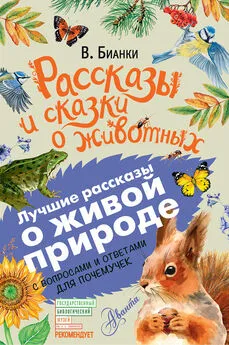 Виталий Бианки - Рассказы и сказки о животных. С вопросами и ответами для почемучек