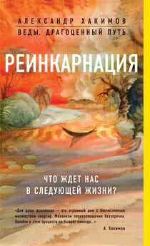 Александр Хакимов - Реинкарнация. Что ждет нас в следующей жизни?