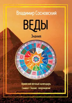 Владимир Сосновский - Веды