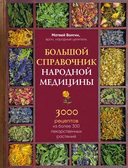Матвей Волгин - Большой справочник народной медицины. 3000 рецептов из более 300 лекарственных растений