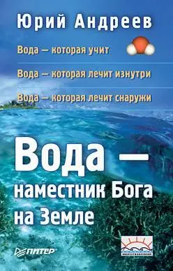 Андреев Юрий андреевичВоданаместник Бога на Земле СПб Питер 2008 320с - фото 1