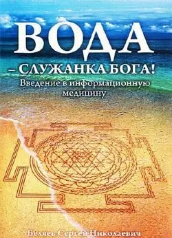 Беляев Сергей НиколаевичВодаслуданки Бога Введение в информационную - фото 8