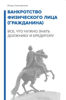 Игорь Галичевский - Банкротство физического лица (гражданина). Все, что нужно знать должнику и кредитору