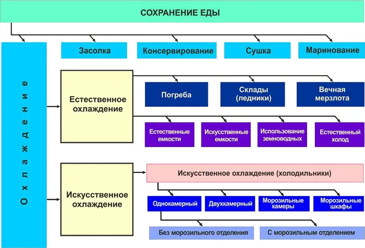 Рисунок 21 Принципы сохранения еды Нас в первую очередь интересует - фото 8
