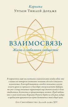 Ургьен Тинлей Дордже - Взаимосвязь. Жизнь в глобальном сообществе